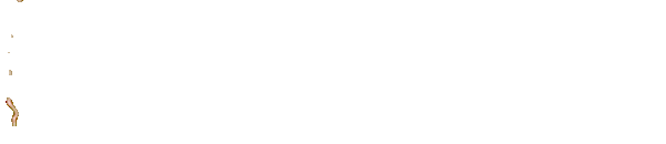 VIRAL788